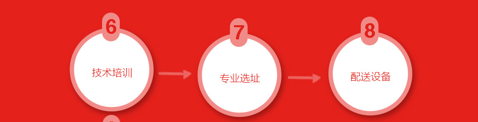 合作流程(图3)